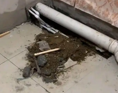 岳阳市卫生间漏水检测哪家好